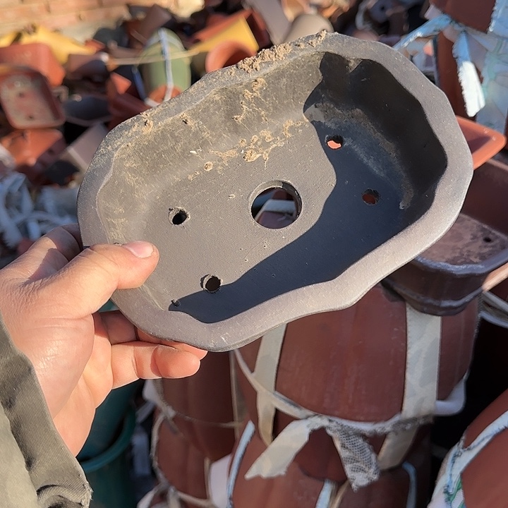 是一个不知名作家与著名导演兼电影演员们