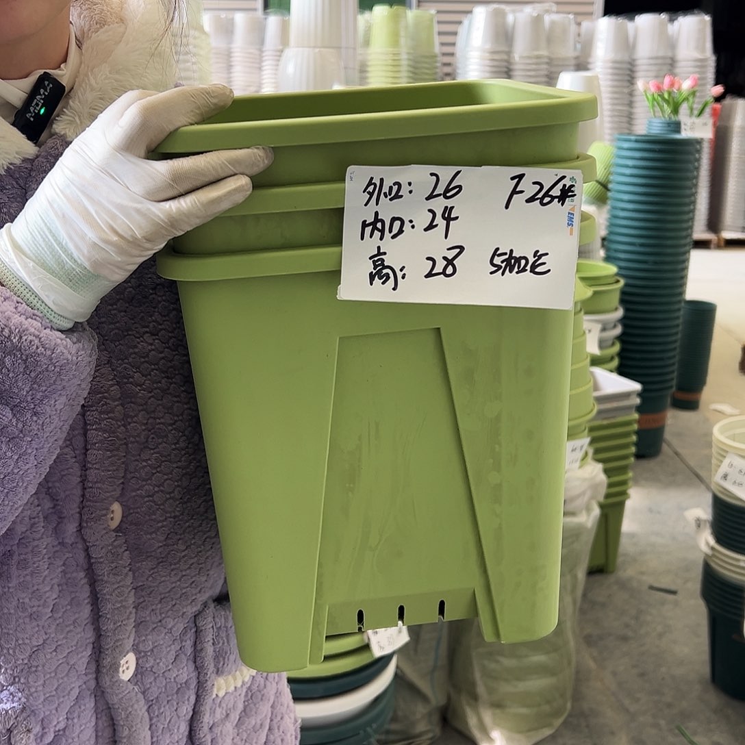 方盆F26果绿3个无托