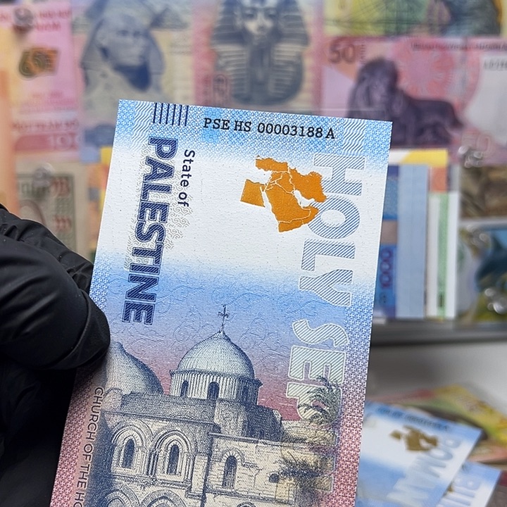 雁***来纸币巴勒斯坦纸币88