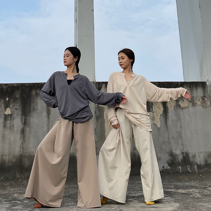 现代舞蹈服日常可穿宽松透气舞蹈生艺考练功服演出服跳舞V领上衣