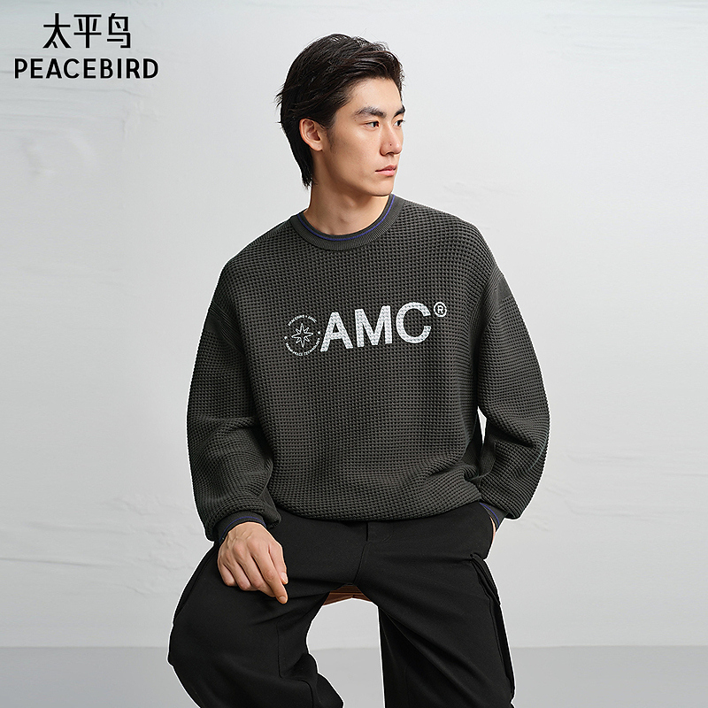 【OAMC联名】太平鸟男装25冬新款印花圆领针织套头毛衫B2EBF4513