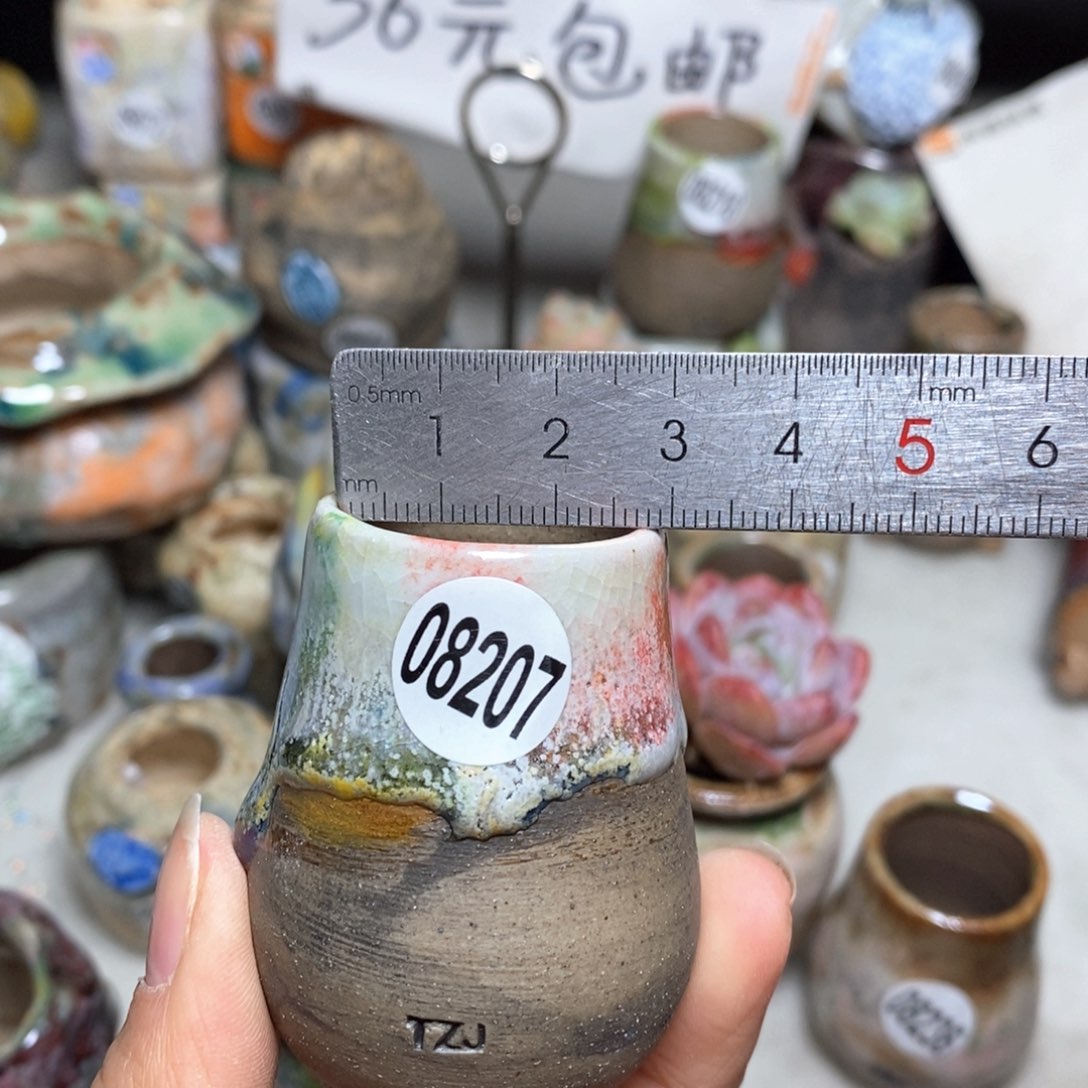 花盆拍5送一个小礼物