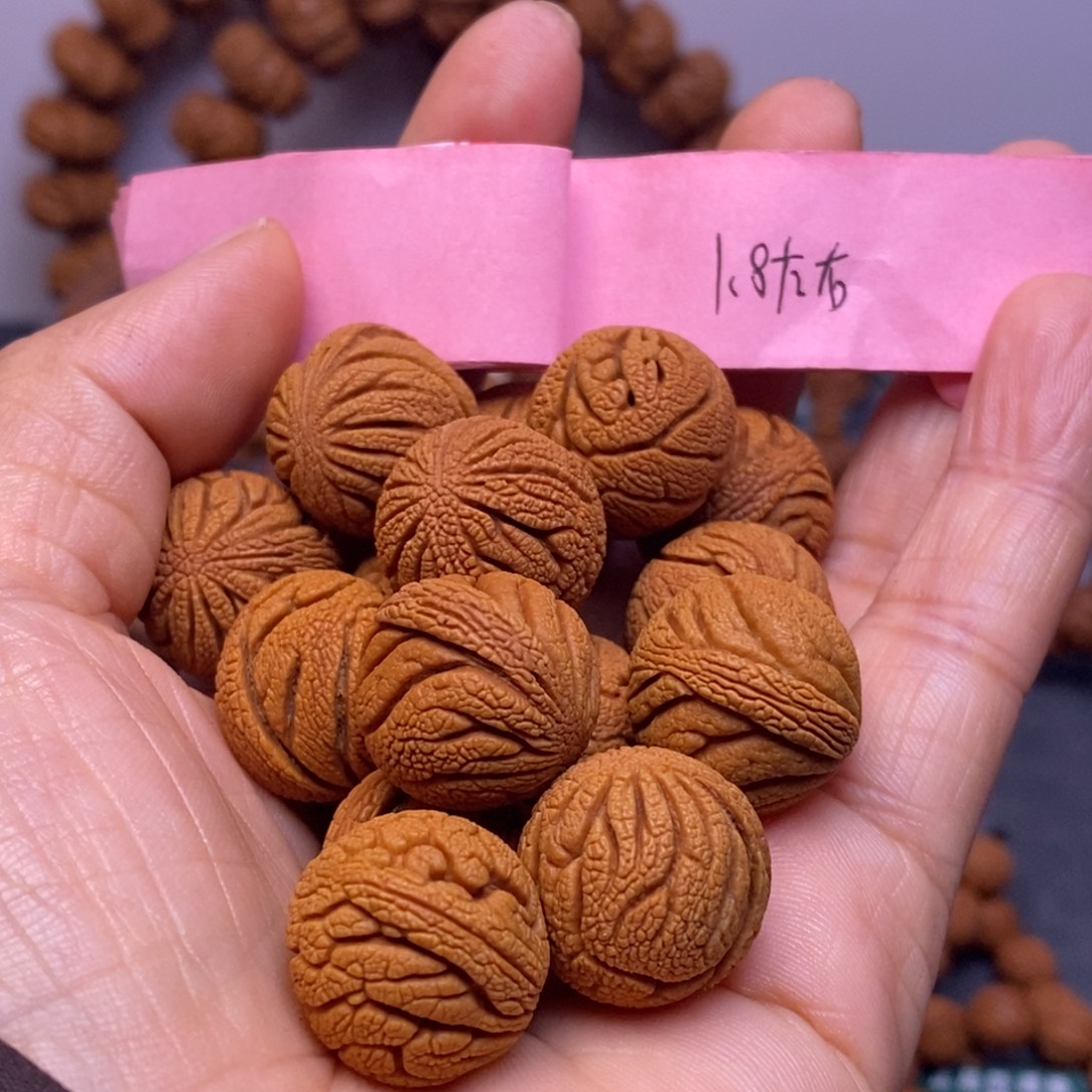 秦岭龙纹桃核14颗