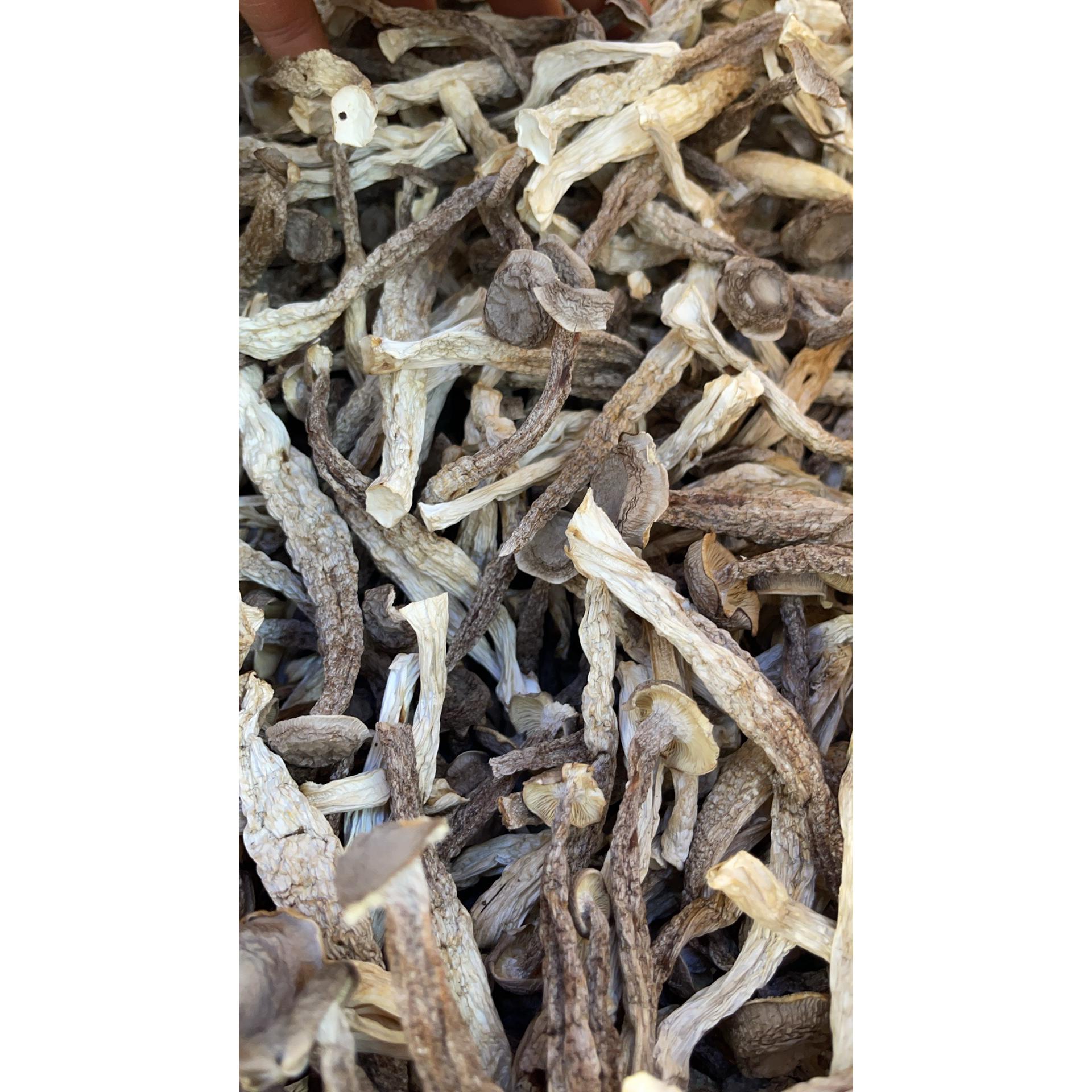 深山甄选鹿茸菇新货无硫无熏煲汤火锅佳品