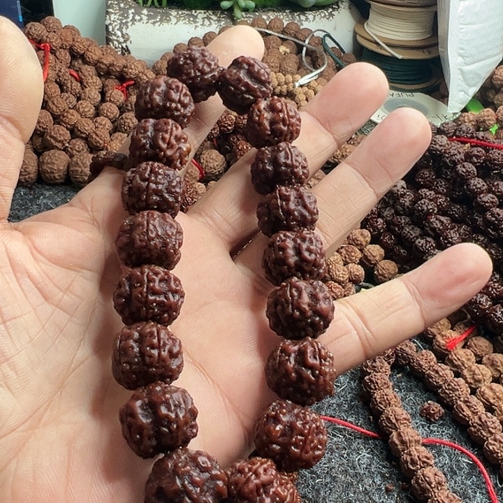 G***爆金刚菩提手串帝王花手持单圈