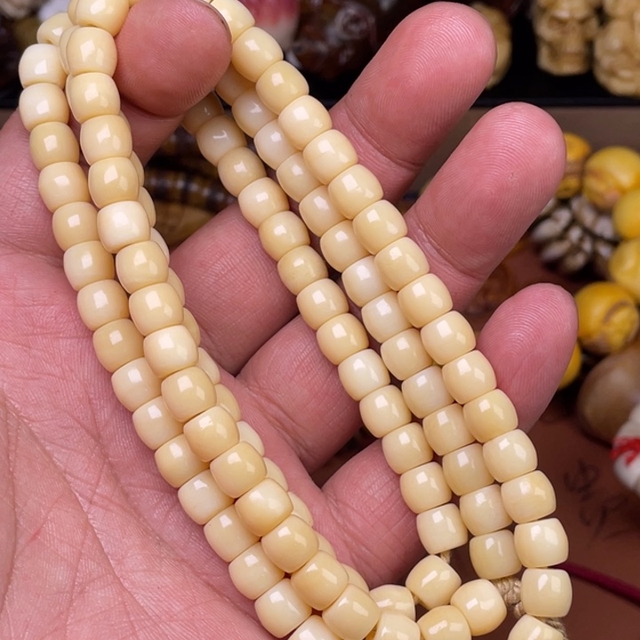 驼骨其他人工养殖