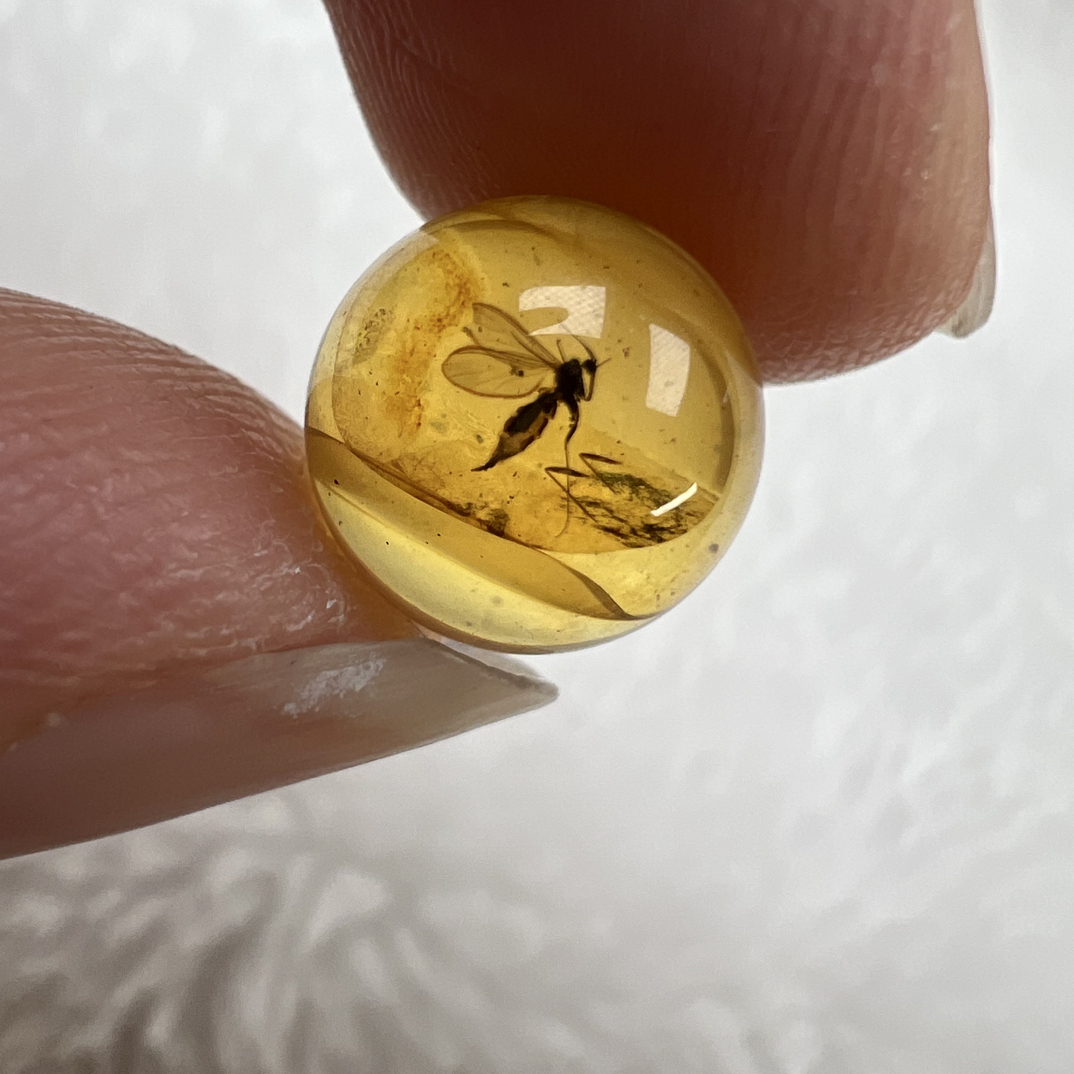 天然琥珀虫珀圆珠尺寸：10.4mm
