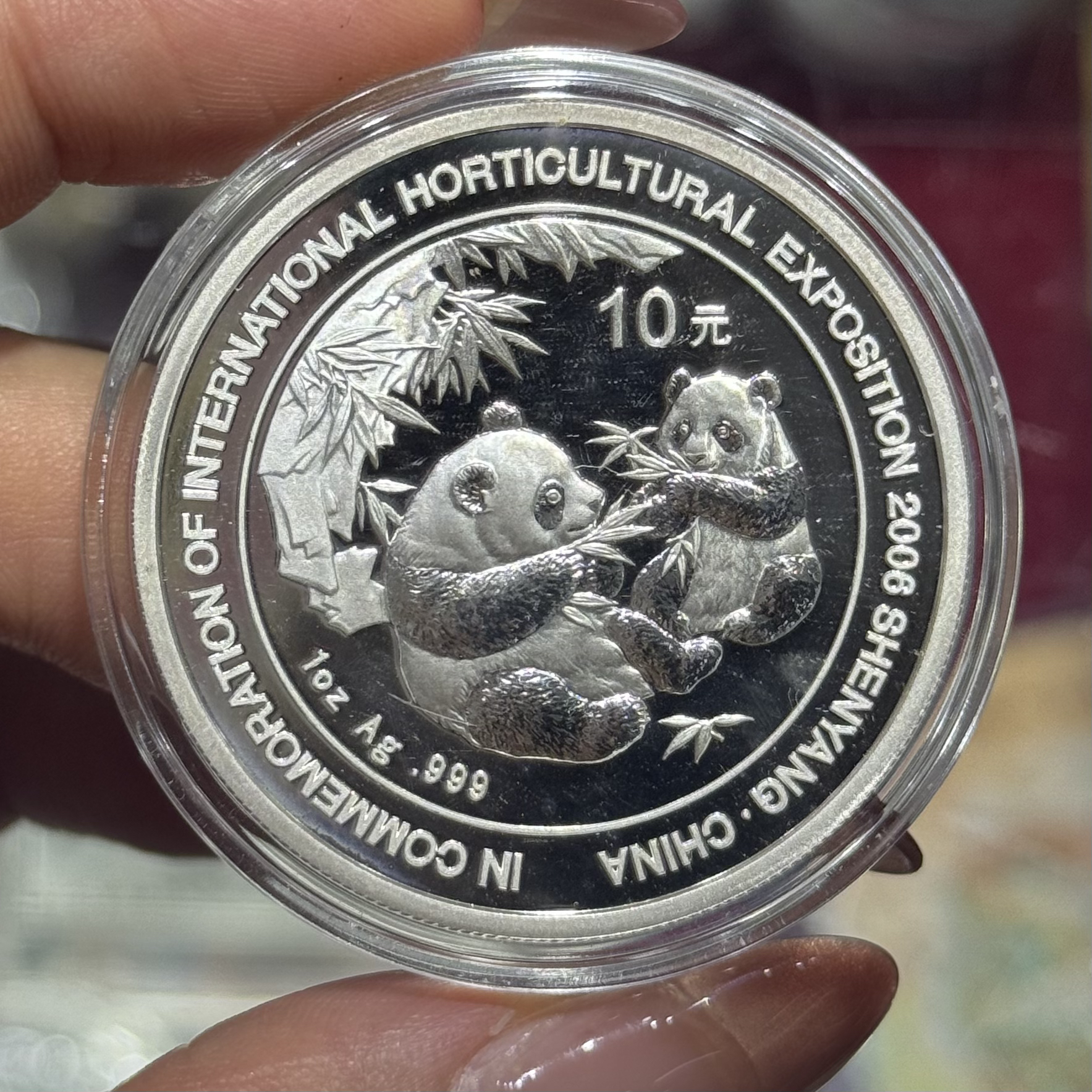 2006年沈阳园艺加字猫银币 证盒全