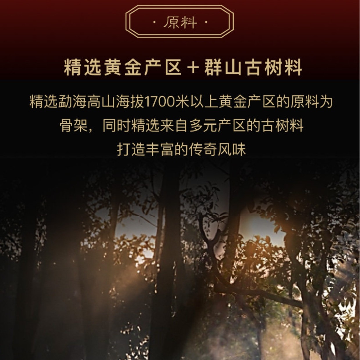 2013年陈韵方砖 生茶  250克/砖