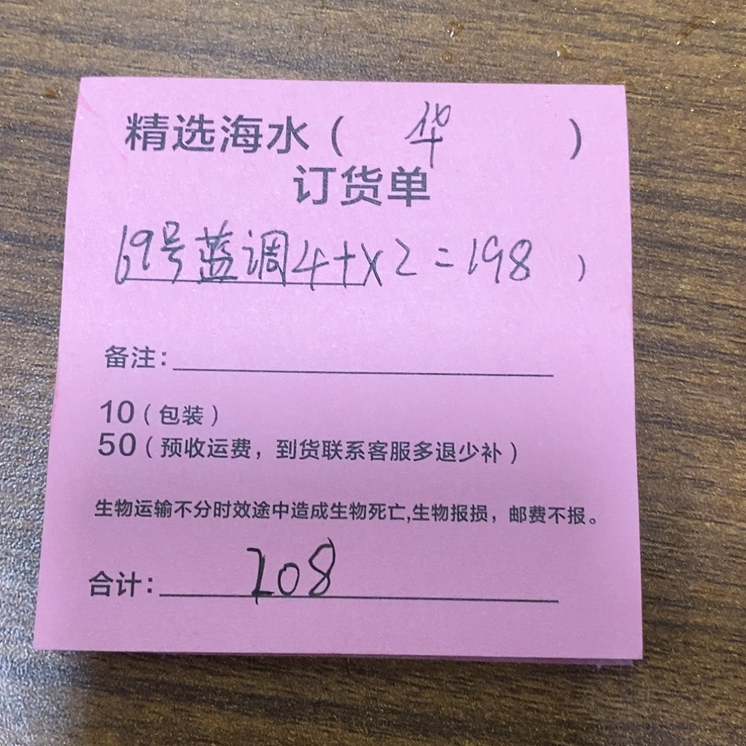 海水鱼69号蓝吊两条