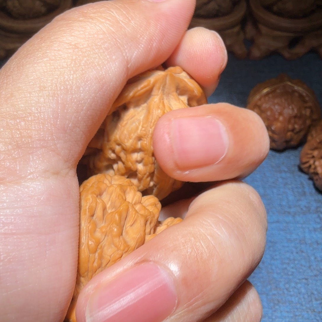 文玩核桃把件「****」红锦鲤39尺寸1510