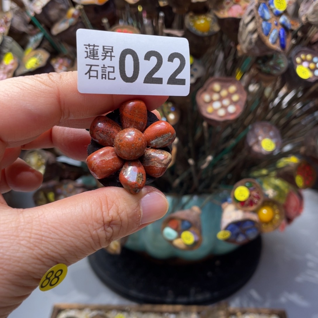 核桃木/黑胡桃（胡桃木）梦**见022