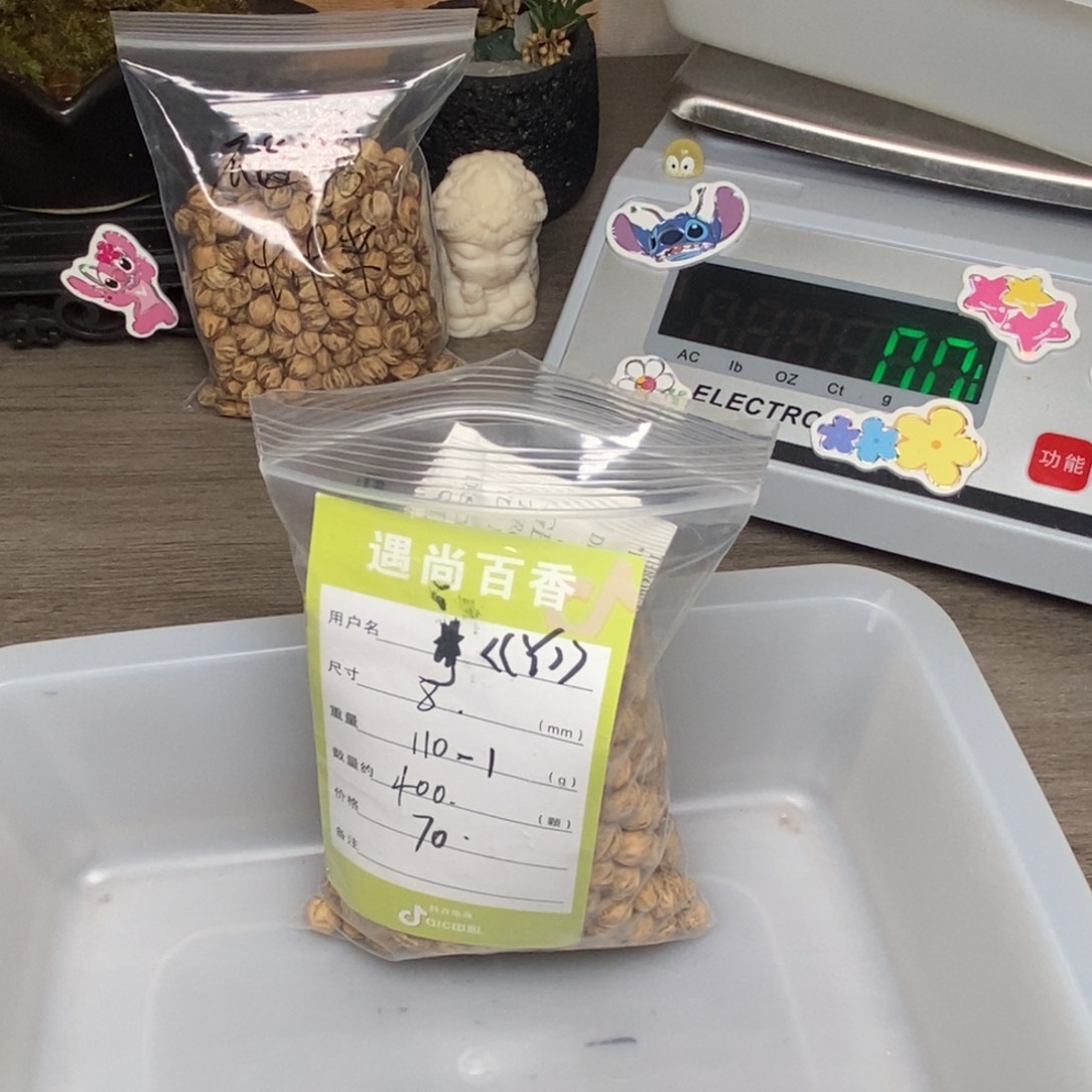 《***作柏香籽/百香籽吊坠