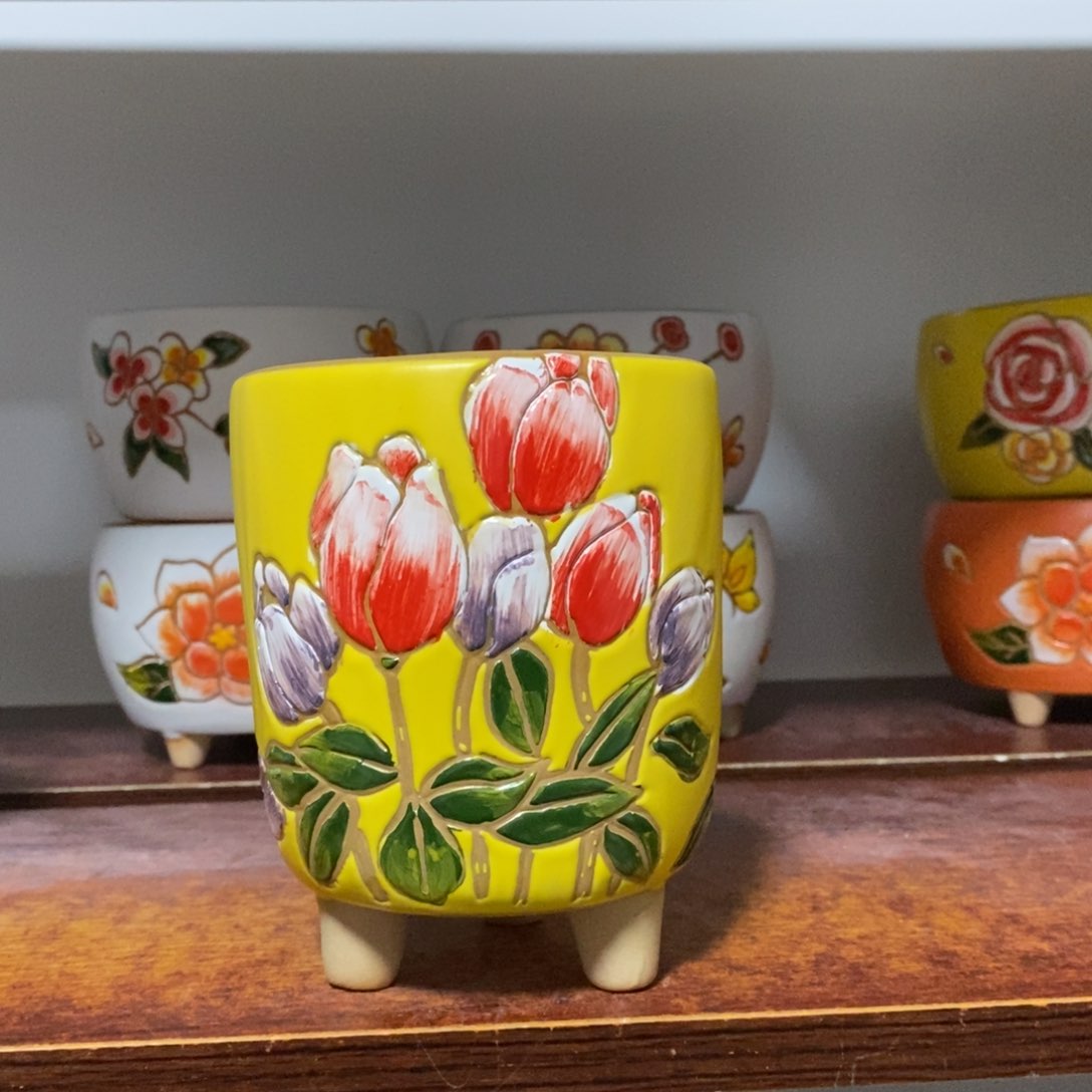 韩式多肉植物花盆