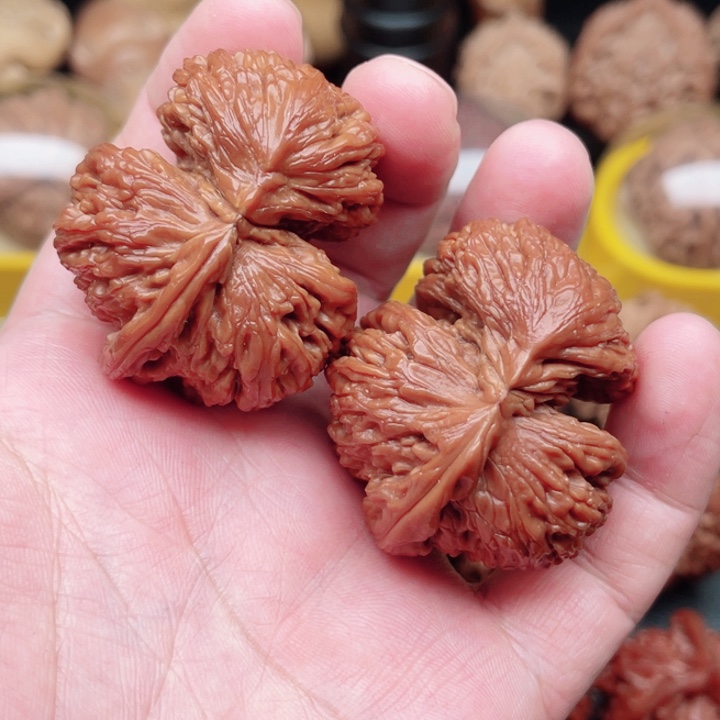 文玩核桃把件白狮子犀牛角44×40×32