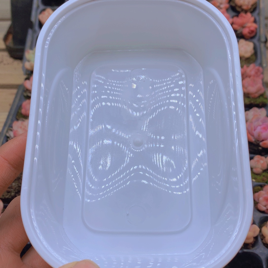 阳***马我也想要定制短肥圆014