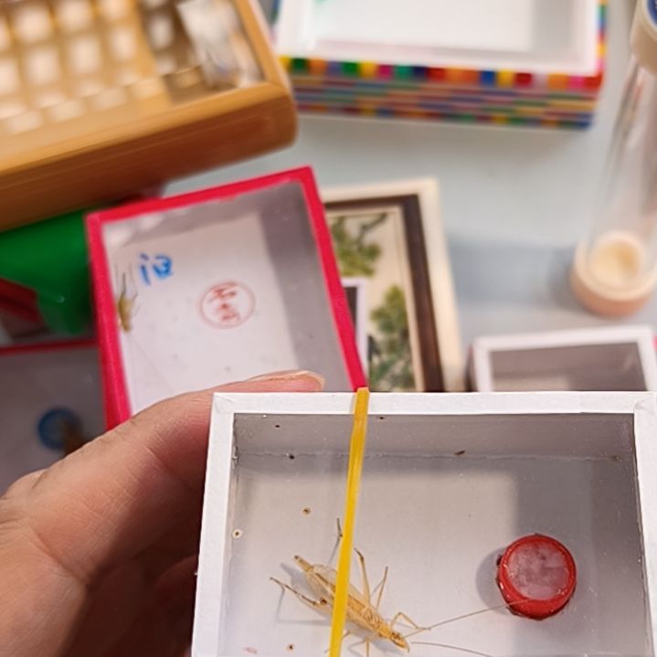 添***哈哈哈哈哈哈哈哈哈哈4条柬埔寨