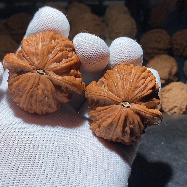 萌****文玩核桃吊坠蛟龙