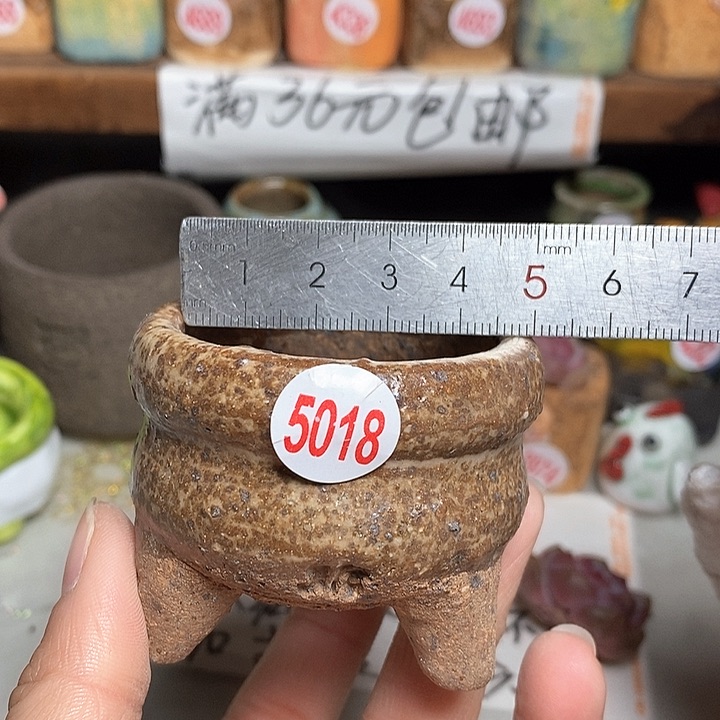 红陶拍5送一个小