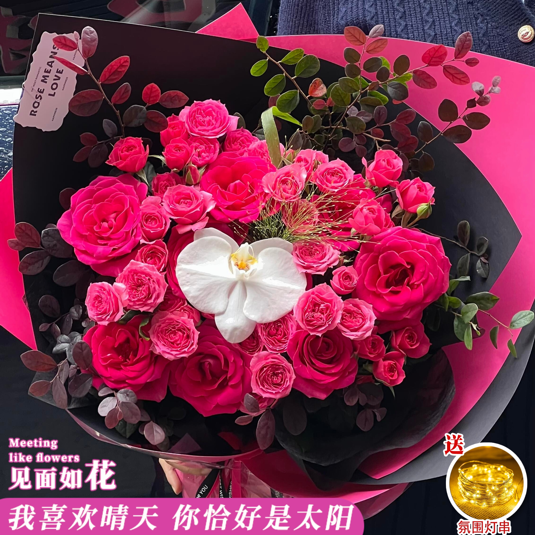 【甜蜜情话】8枝弗洛伊德1枝蝴蝶兰苏菲宝贝鲜花送女友恋人约会表白鲜花小时达鲜花订购同城配送约会鲜花