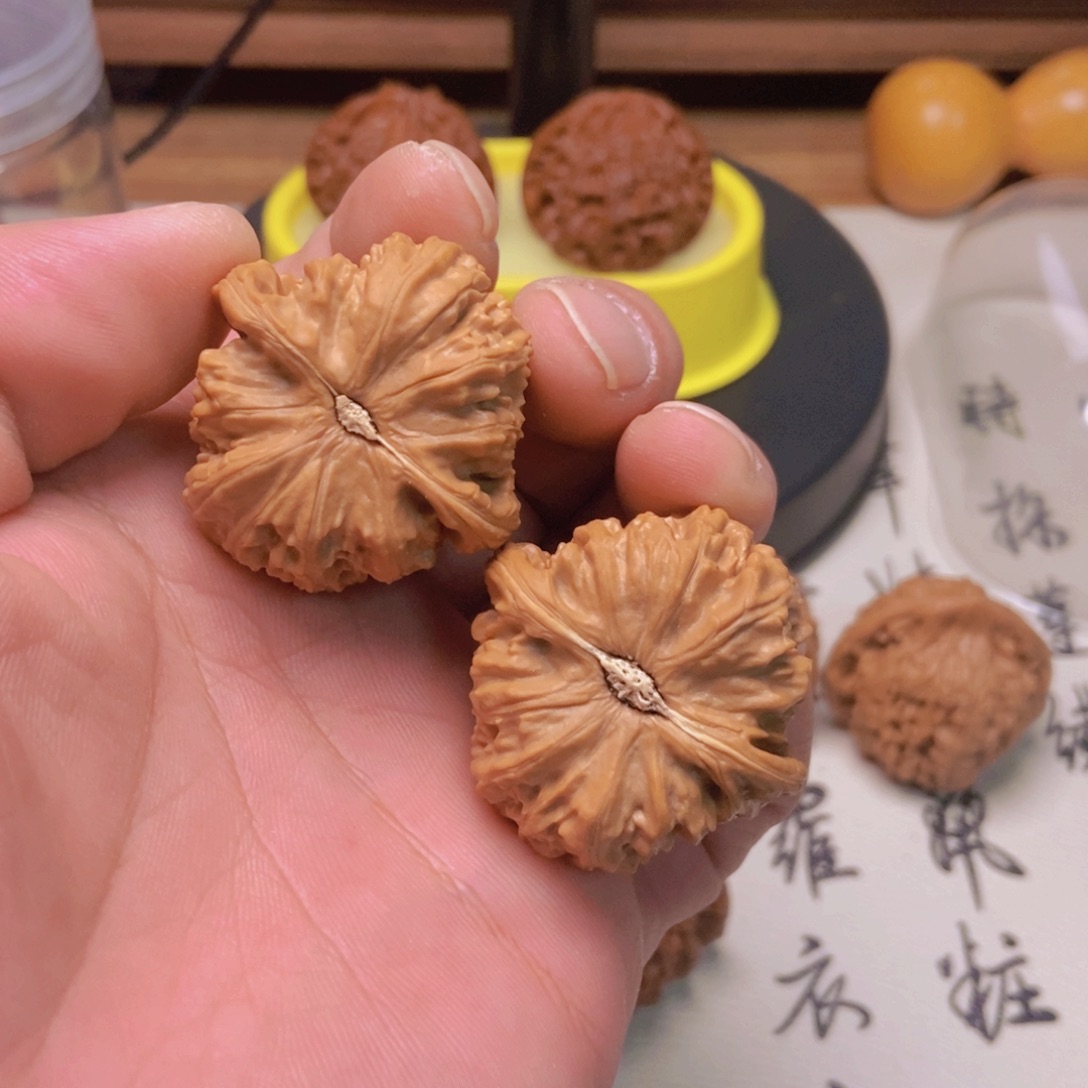 核桃手串/手链38全品白狮子