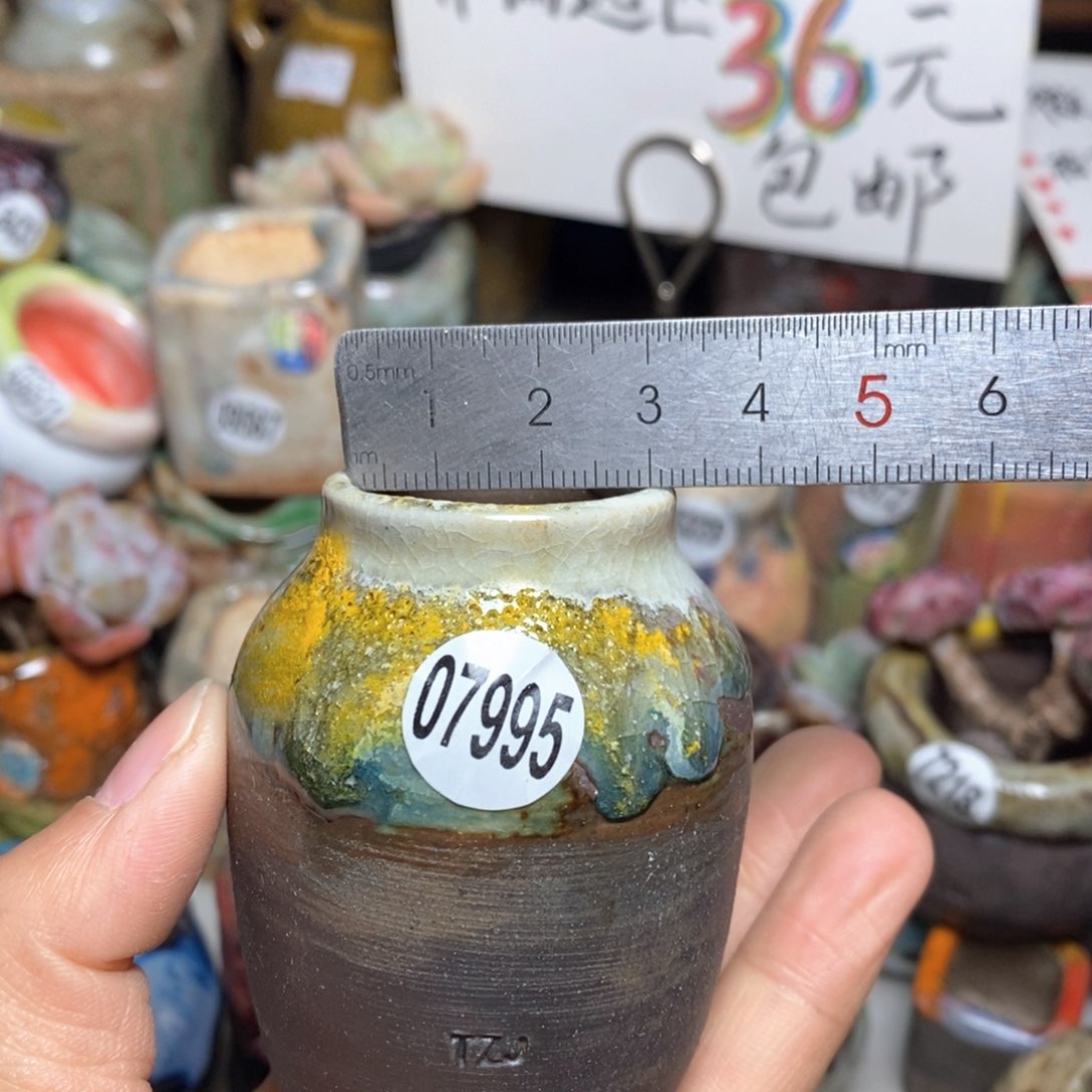花盆拍5送一个小礼物