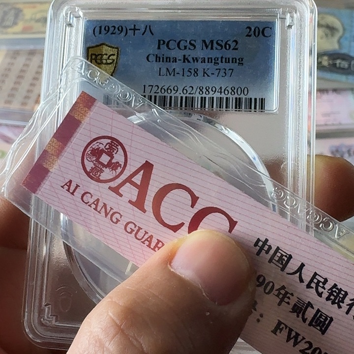 0***✨全新的62……………………保真