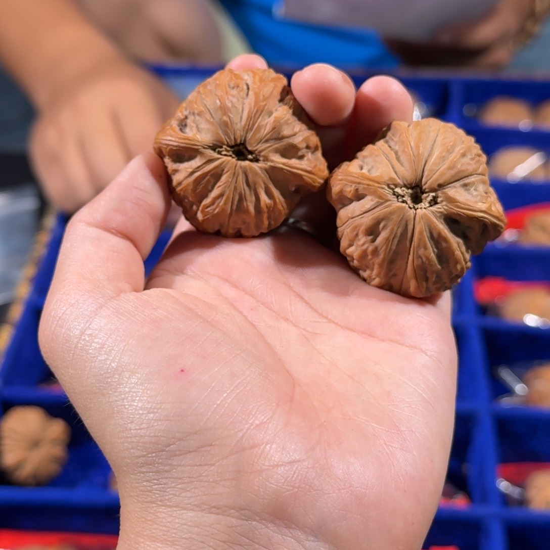 文玩核桃把件223号40铁锤妹妹