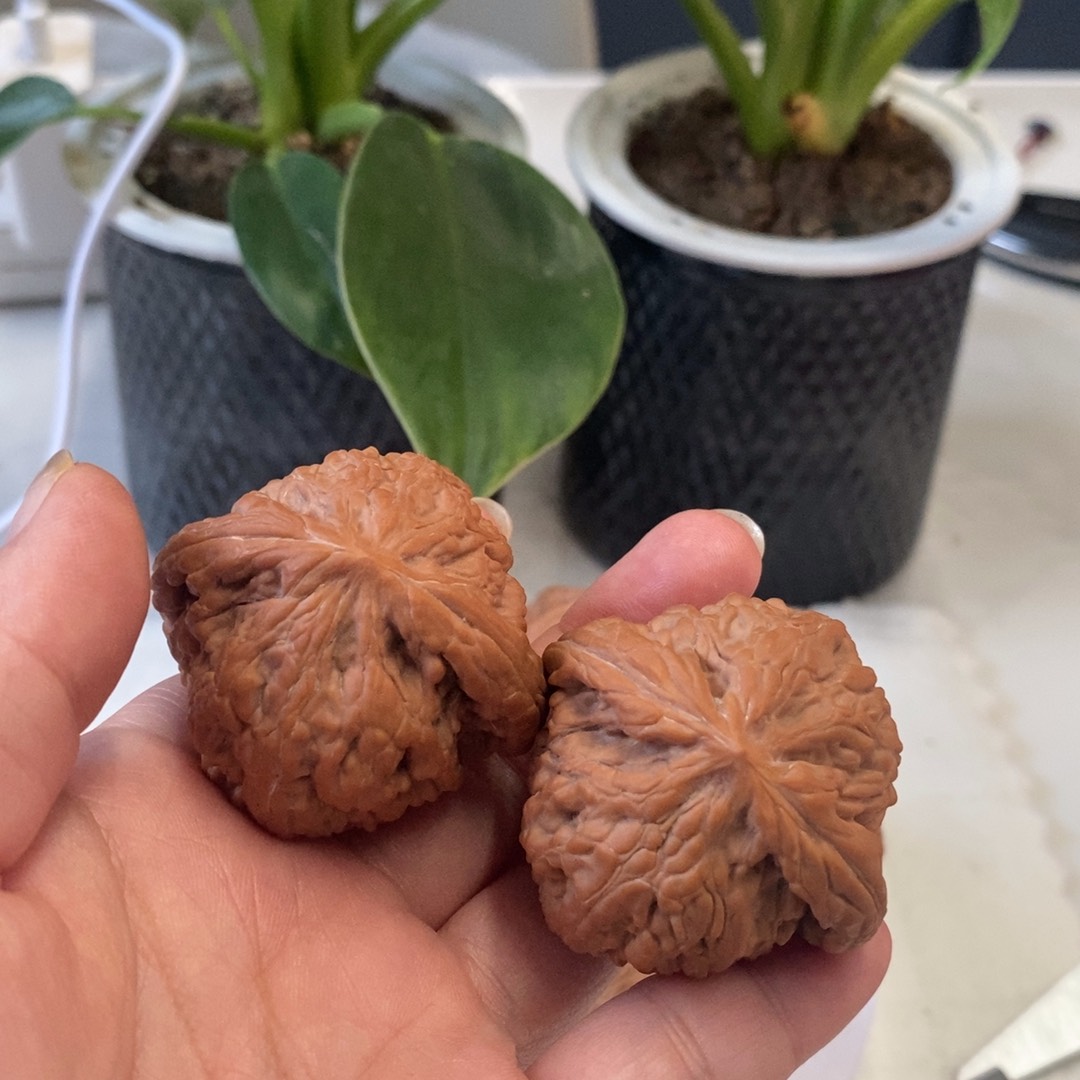 得***手木质园虎头王精对麻核桃