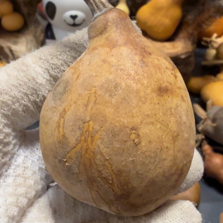 ****姐77666666777777778888