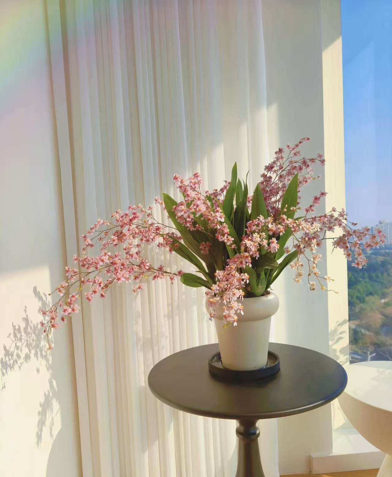 一盆花卉【梦香兰】带花剑大花蕙兰高端名贵兰花盆栽南