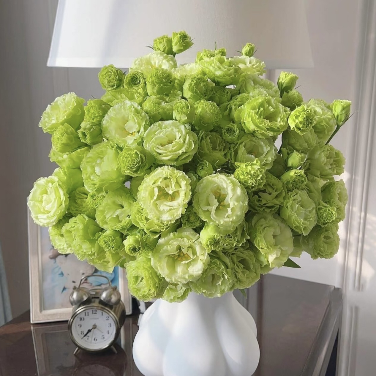 【翠绿色洋桔梗】全场同时拍满2单及以上包邮京东冷链