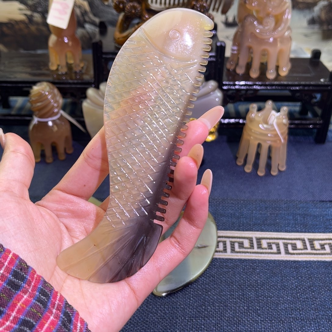 国内老白水鱼脸梳