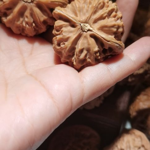 猴头核桃吊坠41野生宫灯