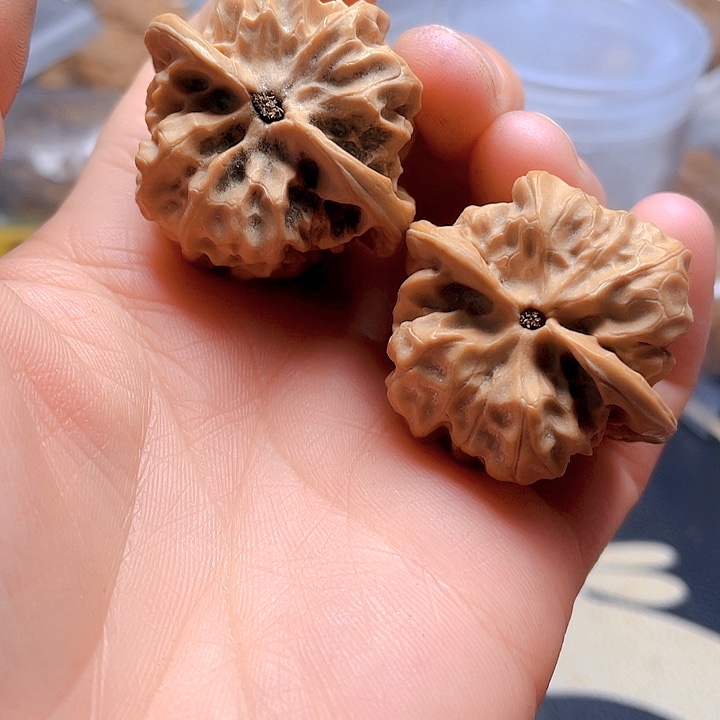 文玩核桃吊坠磐石一对