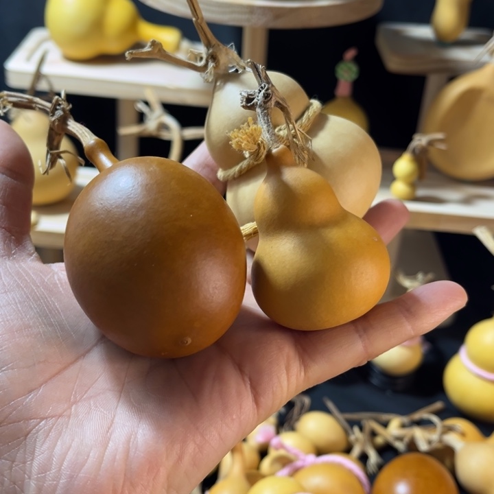 子***o咕噜咕噜咕噜咕噜