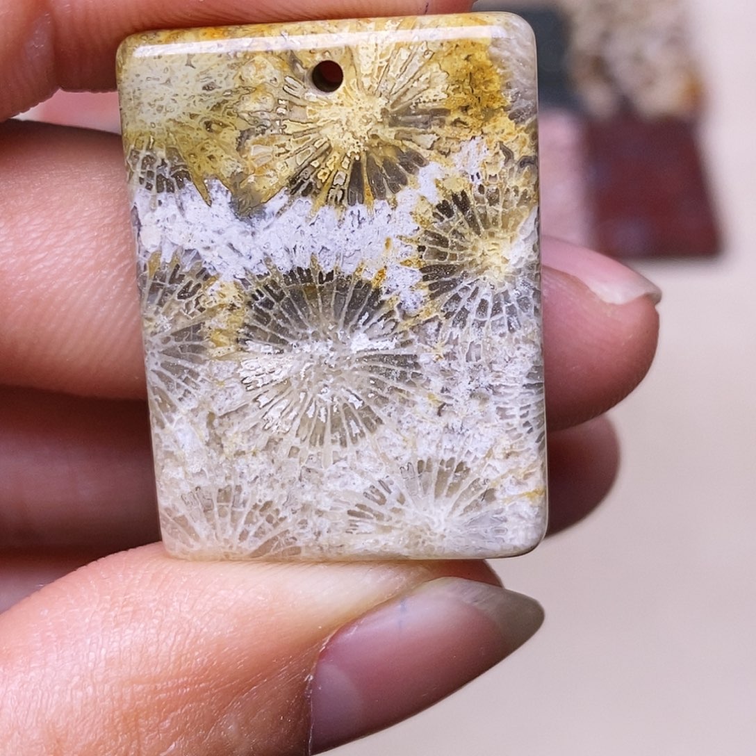 蒜***机硅化玉合金珊瑚玉