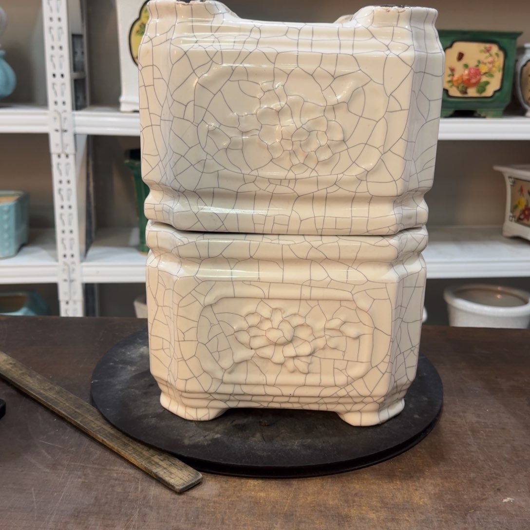 红陶小*晓22222222222