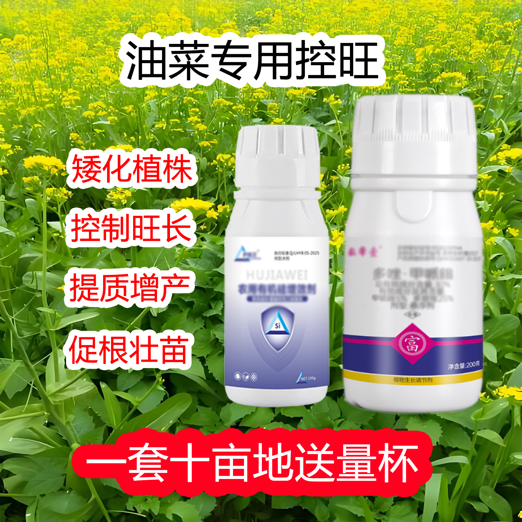 油菜专用控旺控制旺长促根壮苗科学营养