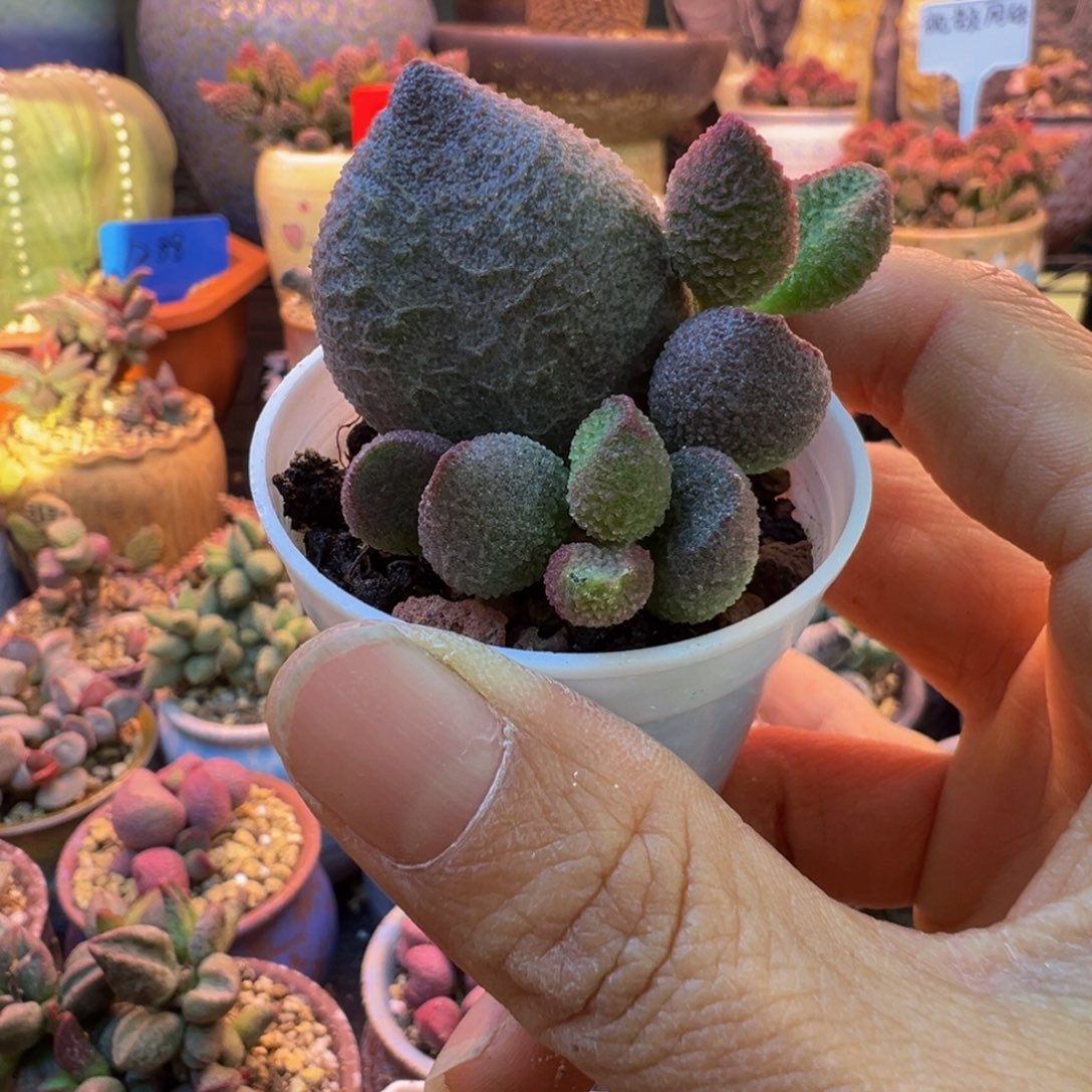三***丶我们都在努力着改变自己的