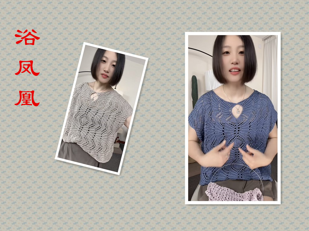 【浴凤凰】镂空短袖夏季毛针织衫上衣女装（视频课+图解+指导教学）