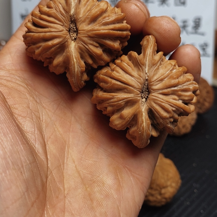 D***核桃45尺寸楼子一对