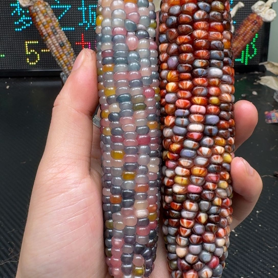 柏香籽/百香籽吊坠米*