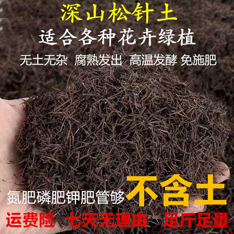 正宗云南松针土蔬菜花鲜花松针腐熟纯松针土寄居蟹必备用品