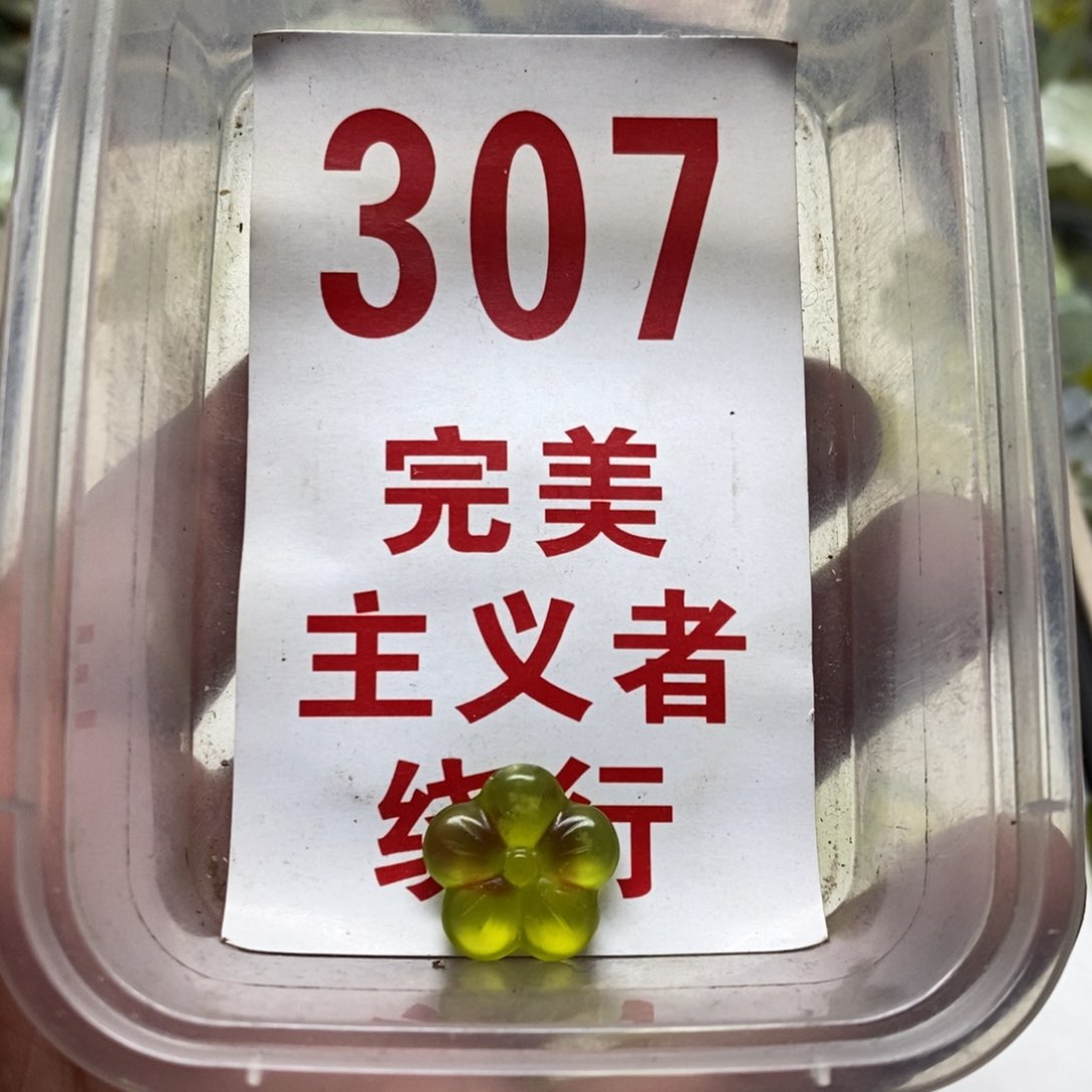 蛇纹石玉挂坠未镶嵌