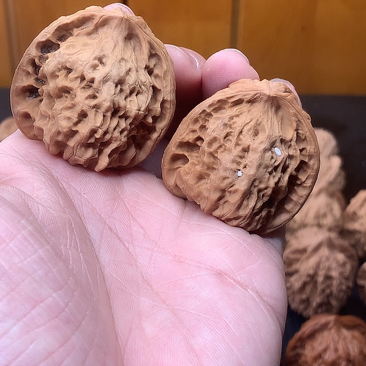 文玩核桃吊坠39 蛇头