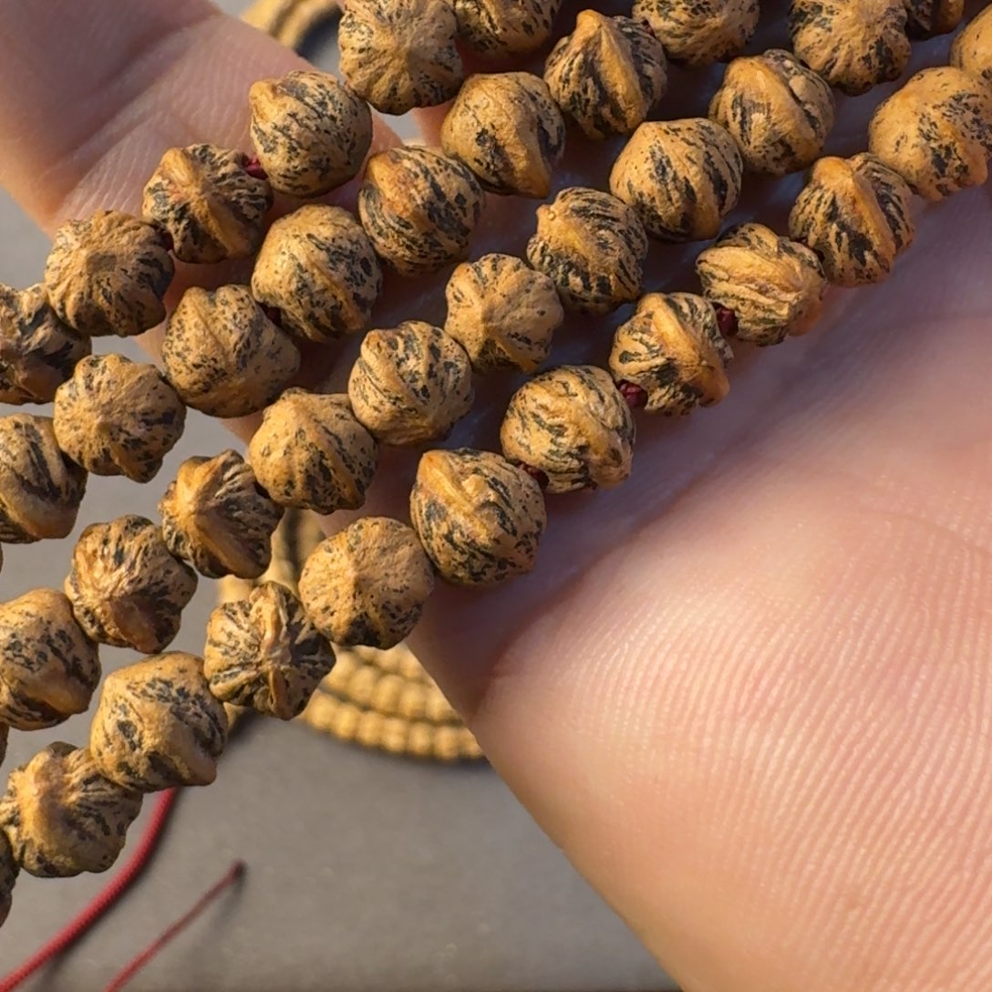 吊坠柏香籽/百香籽005