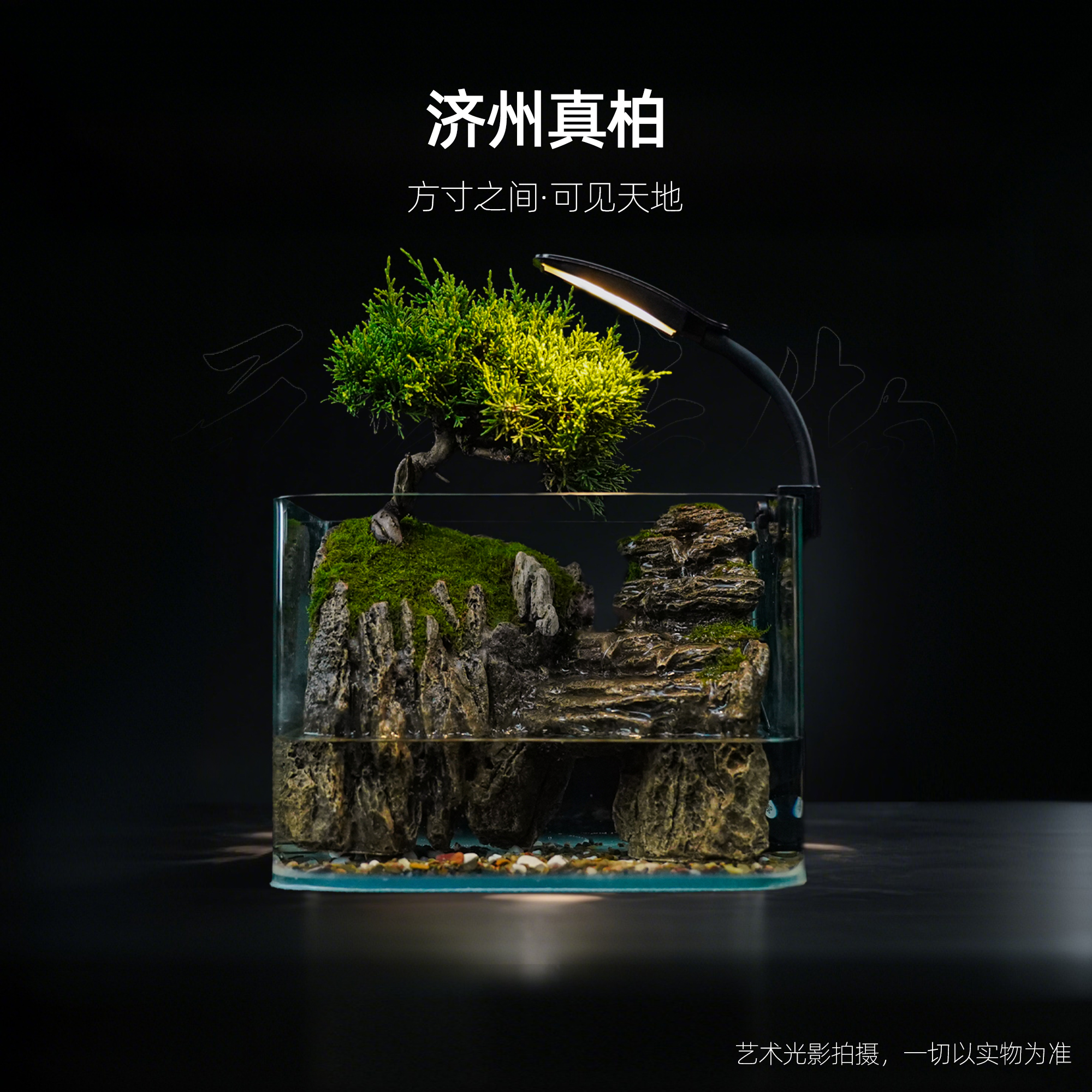 【十怡】转山转水—带灯循环流水济州真柏中式造景【尺寸：25*16*18】