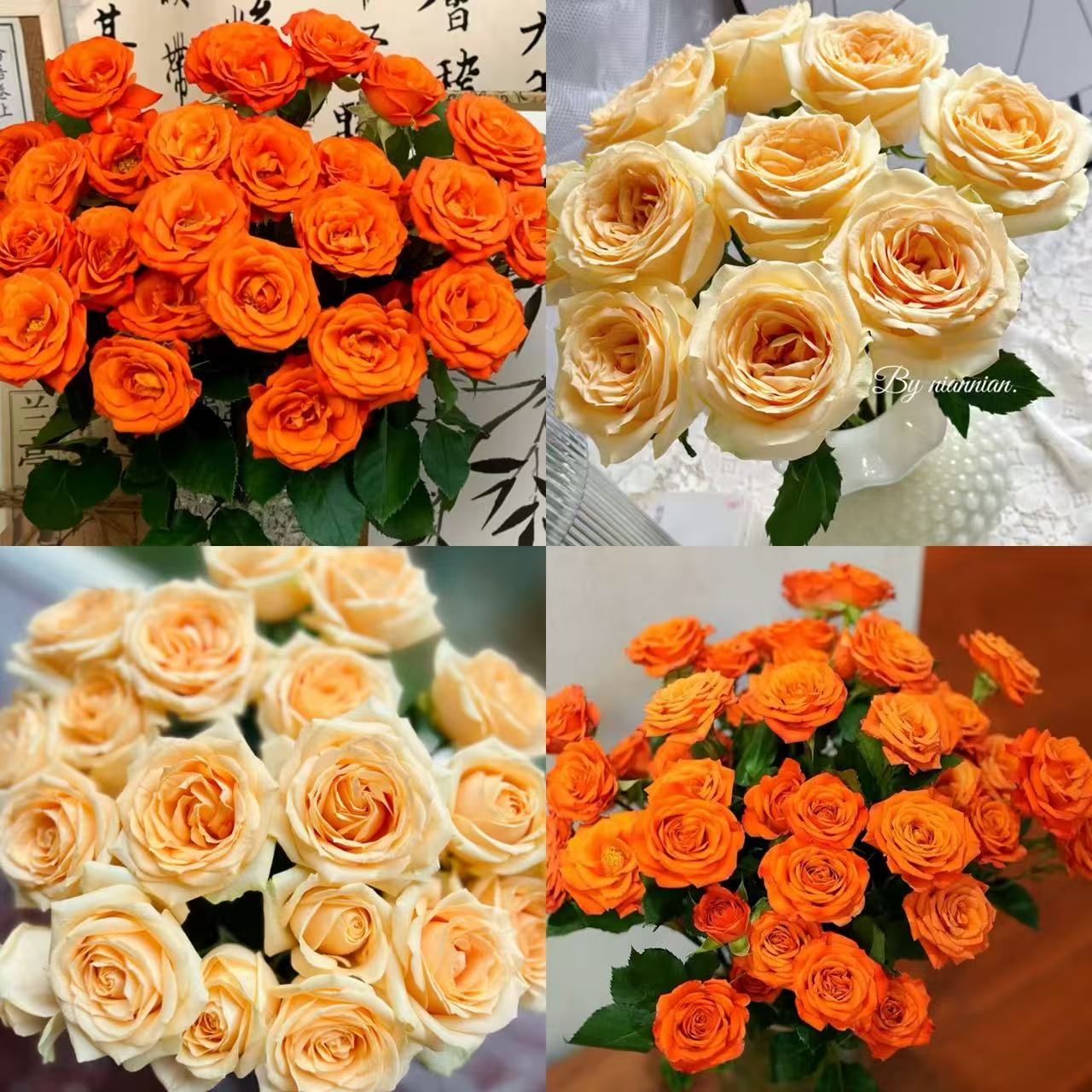 【花予专属】10枝香槟+10枝橙色芭比多头玫瑰  云南鲜切花