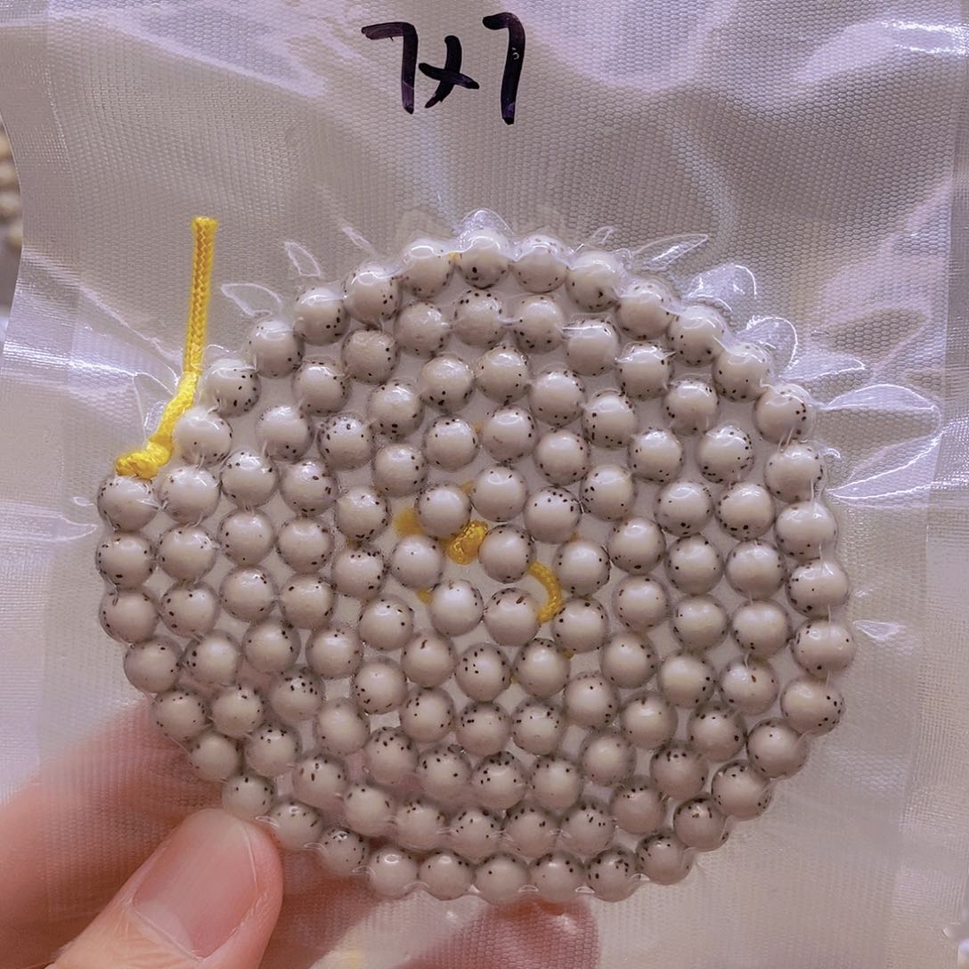 手串星月菩提?***o原白